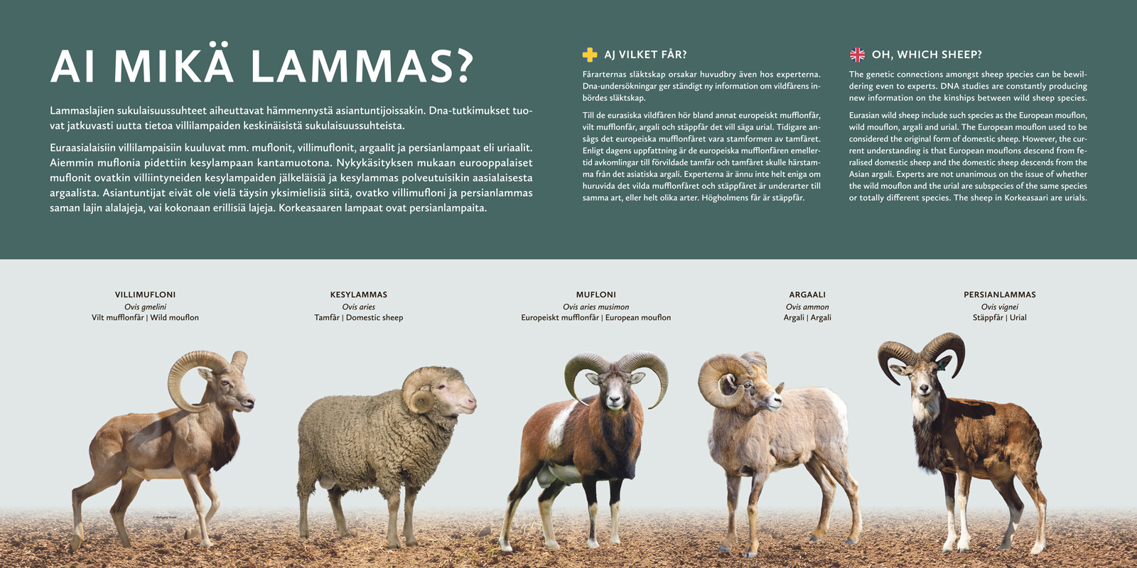 Marketing Campaigns Hero Image