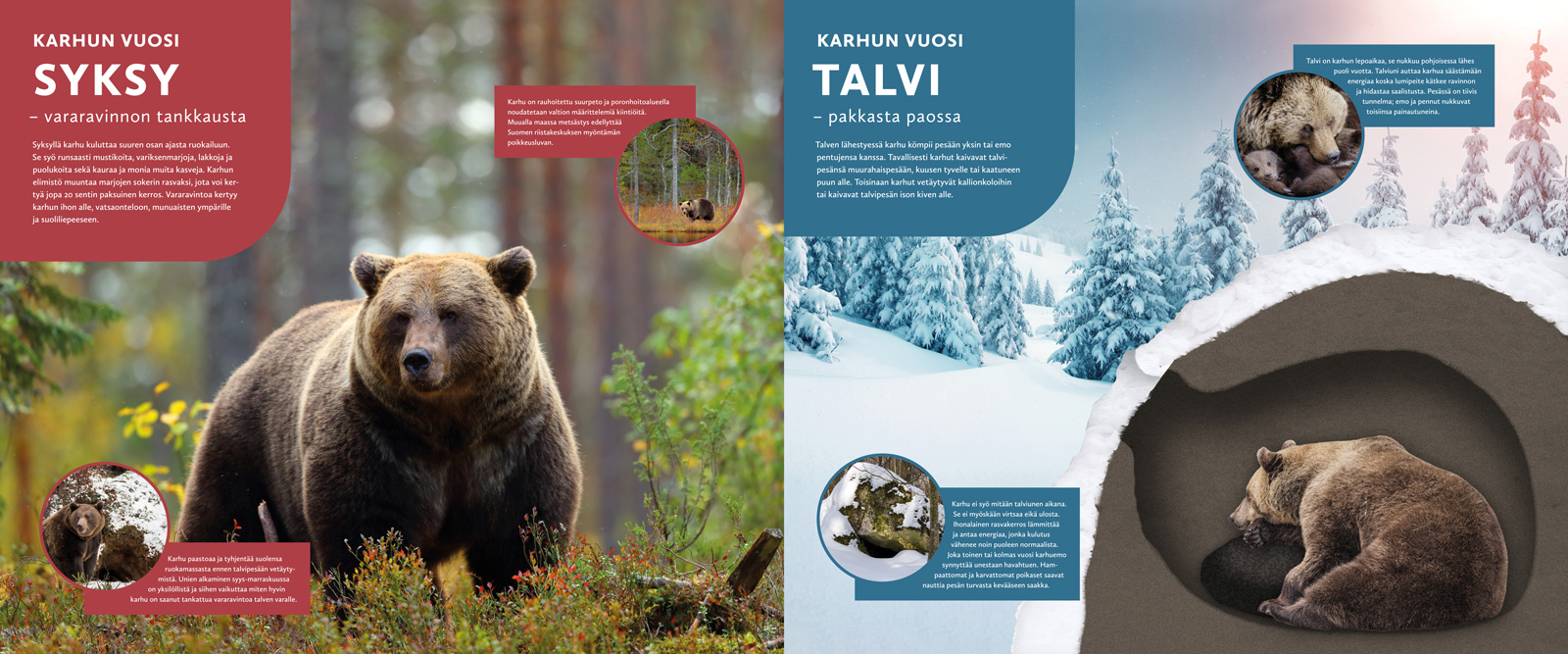 Marketing Campaigns Hero Image