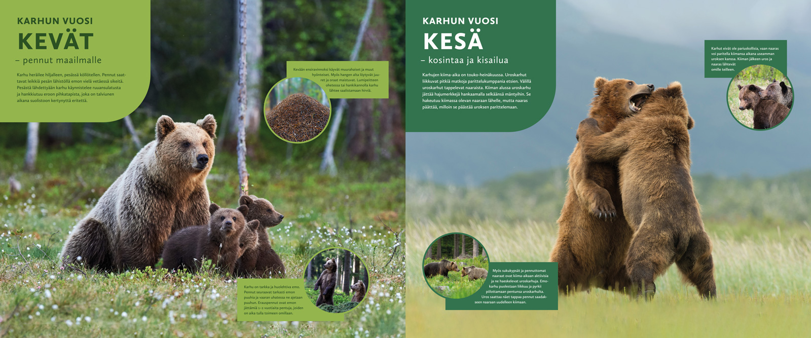 Marketing Campaigns Hero Image