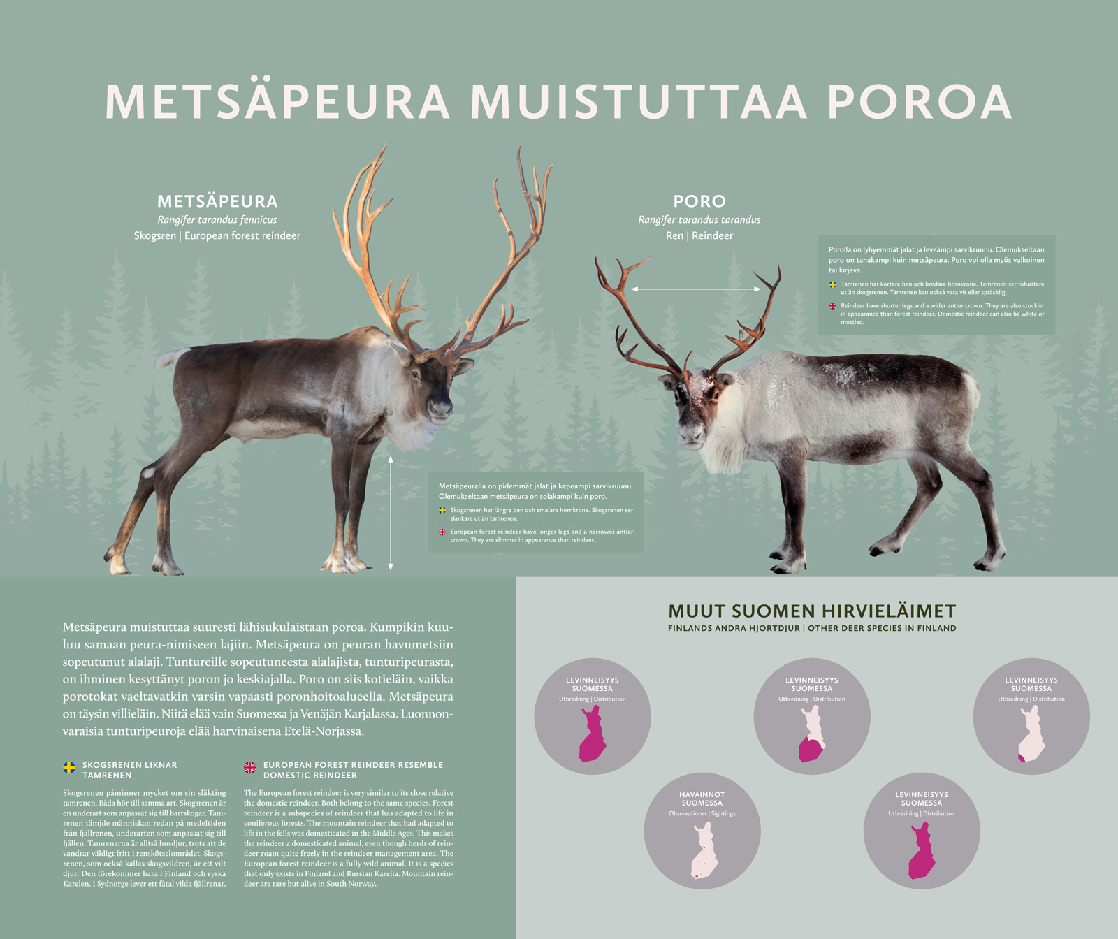 Marketing Campaigns Hero Image