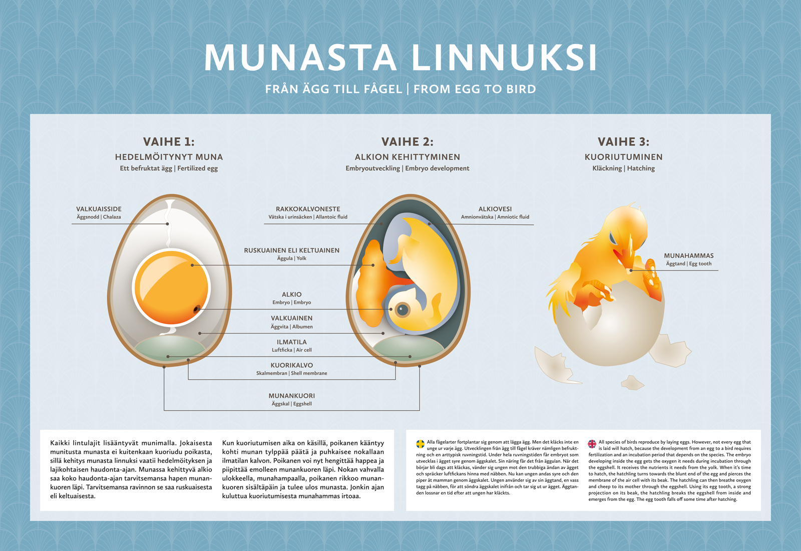 Marketing Campaigns Hero Image