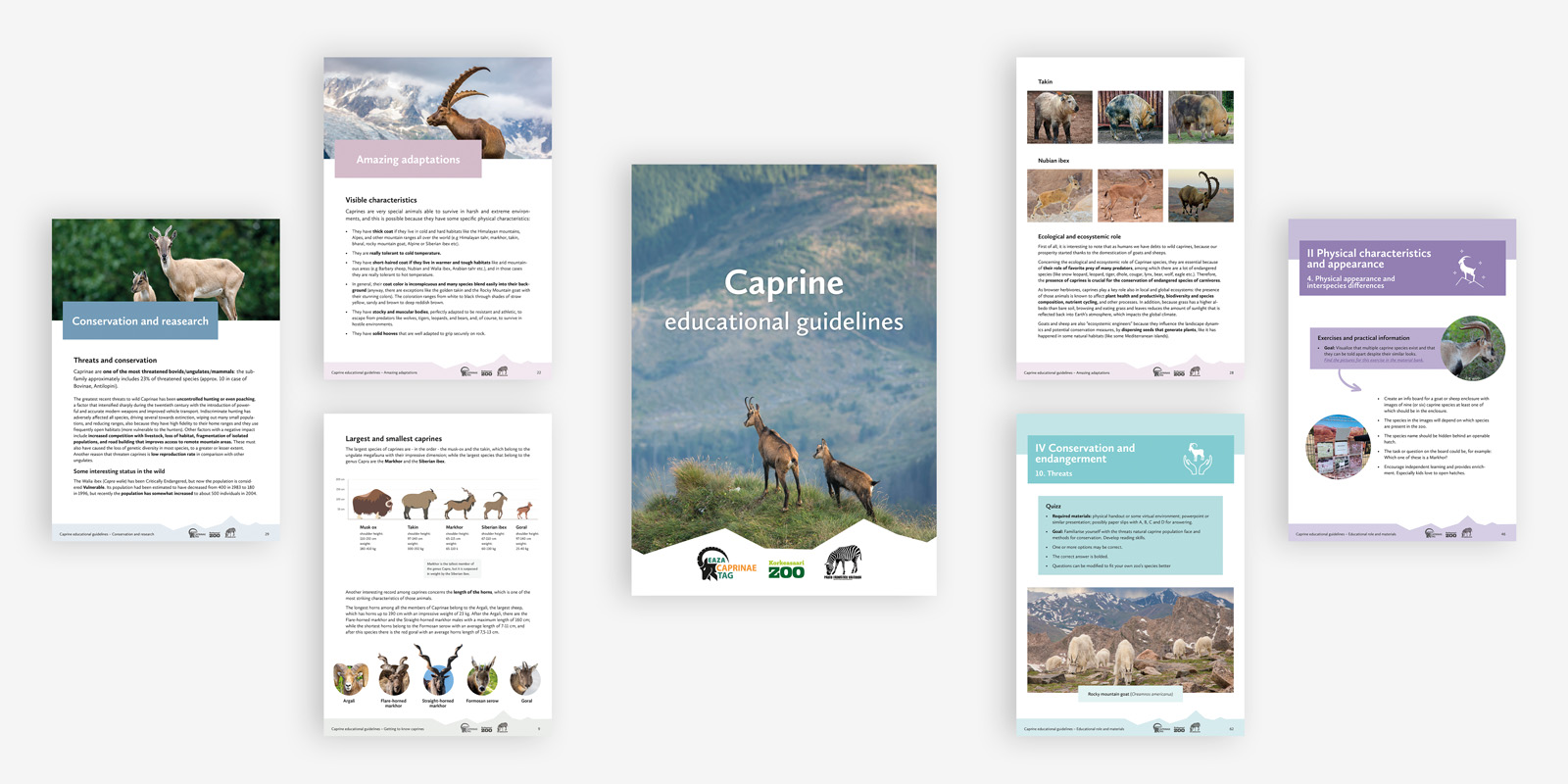 Inside spread of Caprine educational guidelines showing clear layout for educational content and visual hierarchy