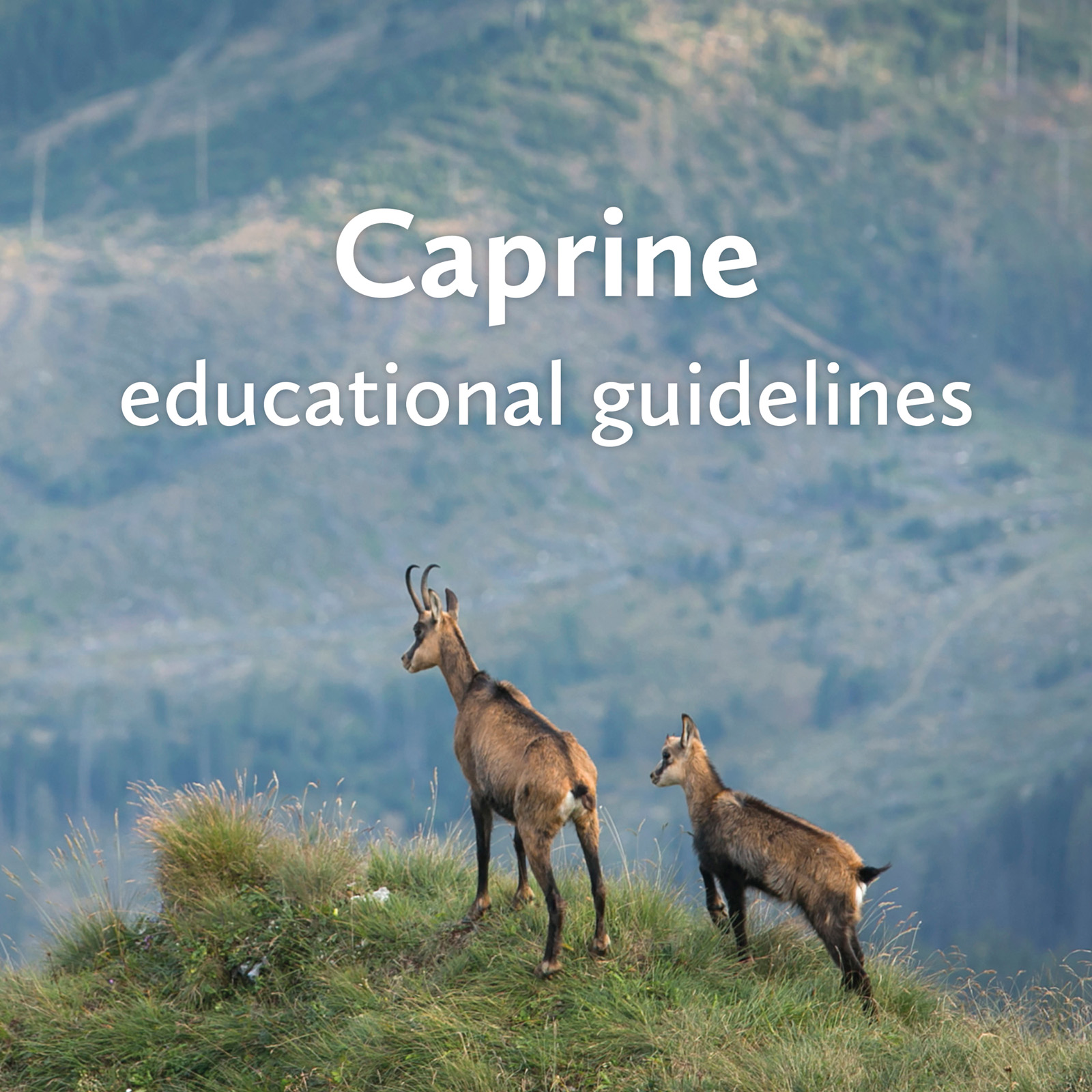 Caprine educational guidelines publication cover – professional graphic design for zoo education and conservation